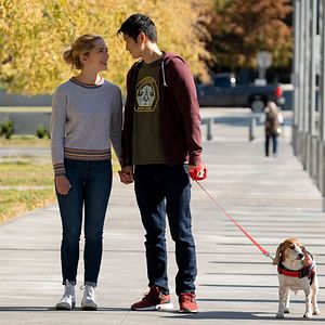 Foto Por Toda A Minha Vida