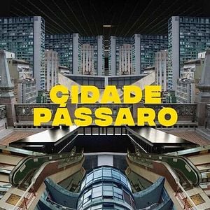 Foto Cidade Pássaro