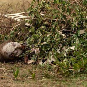 Foto The Walking Dead: Um Novo Universo