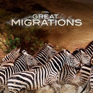 Foto Grandes Migrações