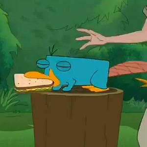 Foto Phineas and Ferb