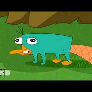 Foto Phineas and Ferb