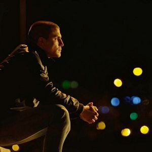 Foto Escorpião Apaixonado