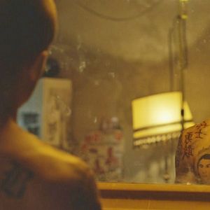 Foto Escorpião Apaixonado