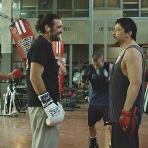 Foto Escorpião Apaixonado