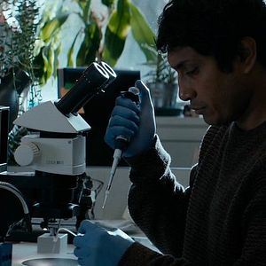 Foto Filho das Monarcas