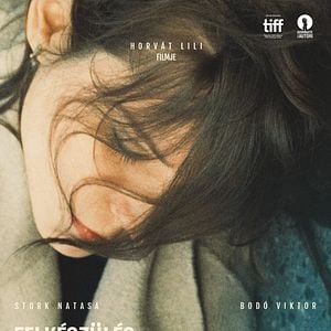 Foto Preparativos para Ficarmos Juntos por Tempo Indefinido