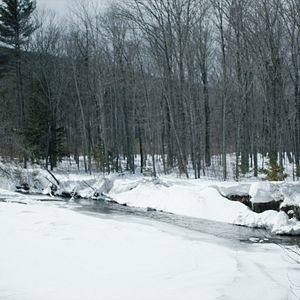 Foto Perseguição na Neve