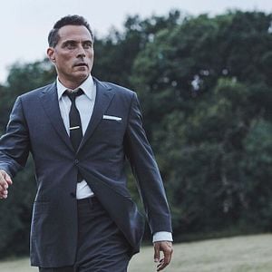 Foto O Cavalo Amarelo