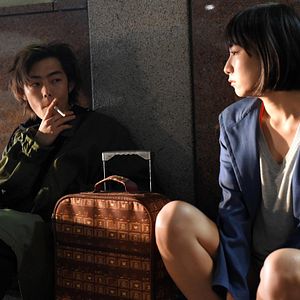 Foto Crepúsculo dos felinos