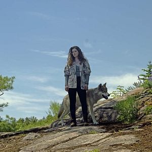 Foto O Lobo e o Leão