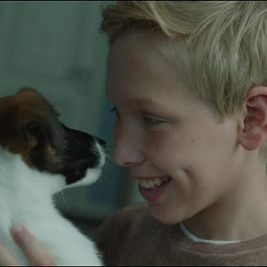 Foto Foxter & Max- Um Cachorro de Outro Mundo