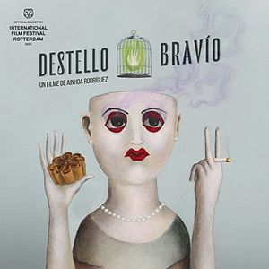 Foto Um Forte Clarão