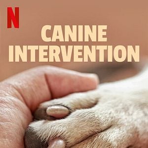 Foto Intervenção Canina