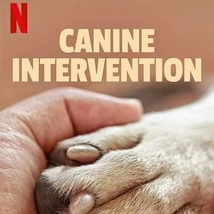 Foto Intervenção Canina