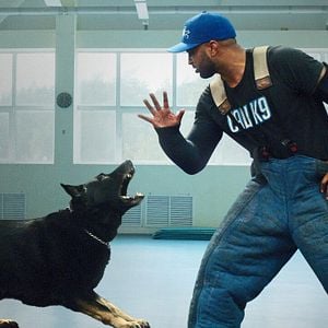 Foto Intervenção Canina