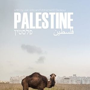 Foto Palestina: Uma Terra em Conflito