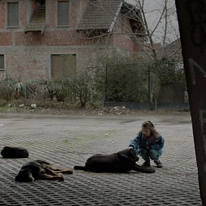 Foto Feliz Aniversário em Belgrado