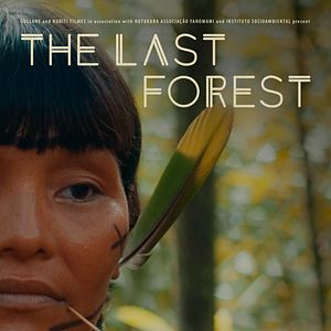 Foto A Última Floresta