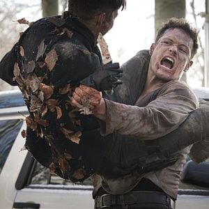 Foto Ascensão do Cisne Negro