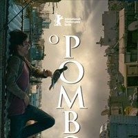 Foto O Pombo - Um Refúgio para Sobreviver