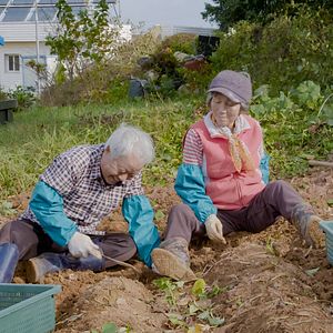 Foto Meu Amor - Seis Histórias de Amor Verdadeiro