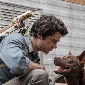 Foto Amor e Monstros