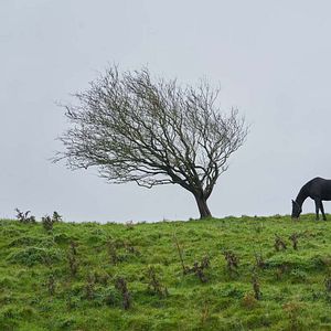 Foto Além das Montanhas