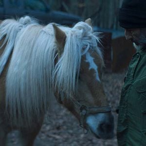 Foto Vangelis Mourikis