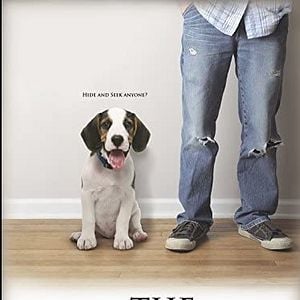 Foto Procura-se um Dono