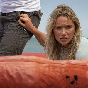 Foto Grande Tubarão Branco