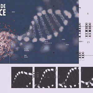 Foto Na Trilha do Sucesso