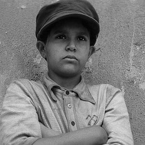 Foto O Pássaro Pintado