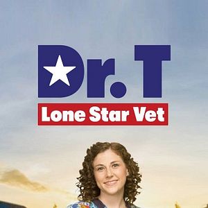 Foto Dra. T: Clínica de Animais Exóticos