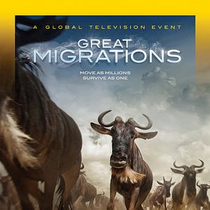 Foto Grandes Migrações