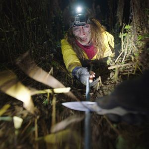 Foto A Viúva das Sombras