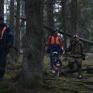 Foto A Viúva das Sombras