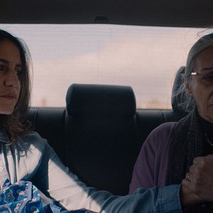 Foto Almila Bağrıaçık