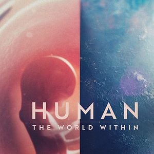 Foto Corpo Humano: Nosso Mundo Interior