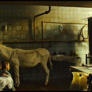 Foto O Truque da Galinha