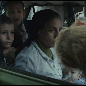 Foto O Truque da Galinha