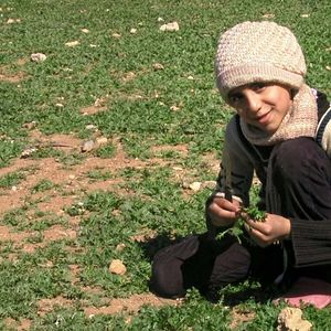 Foto Pequena Palestina, Diário de um Cerco