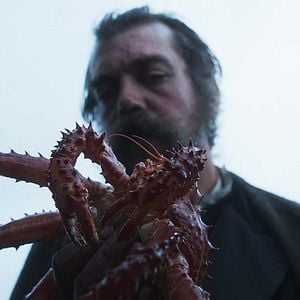 Foto O Conto do Caranguejo Rei