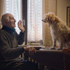 Foto The Truffle Hunters