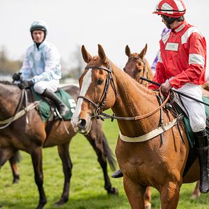 Foto O Cavalo dos Meus Sonhos