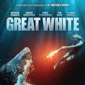 Foto Grande Tubarão Branco