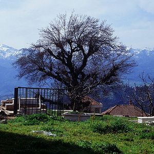 Foto Marinheiro das Montanhas