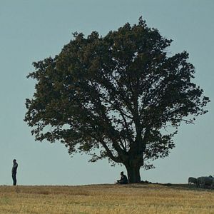 Foto O Compromisso de Hasan