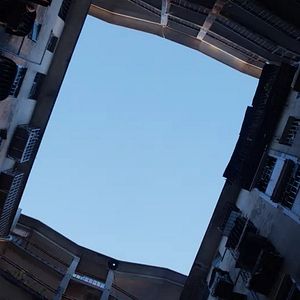 Foto All the Crows in the World