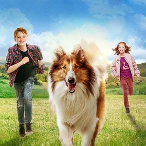 Foto Lassie: De Volta Para Casa